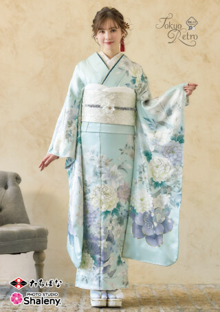 No.38123 東京レトロ　TR-603