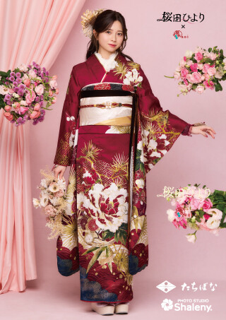 桜田ひより×aoi（葵衣） aoi-034_振袖_43498 | たちばなグループ