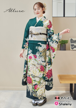 No.48336 Allure　AL-211