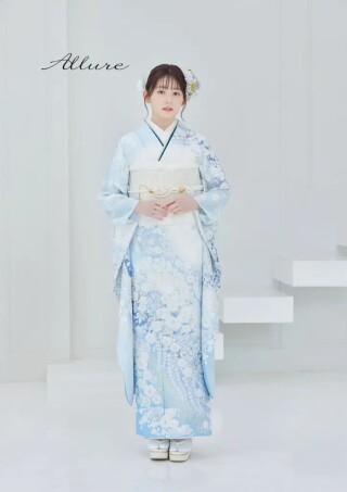 No.81691 Allure AL201