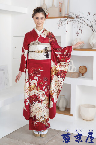 菊京屋の振袖 /赤色/エレガント/花柄/ 赤地に濃淡の花柄と乱菊 | My振袖