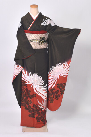 振袖（金のラメ入り黒地に大輪菊）【商品番号：y-fr465】_振袖_72080