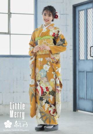 藤岡 真衣さんが着る最新ふりそで LM502_振袖_85419