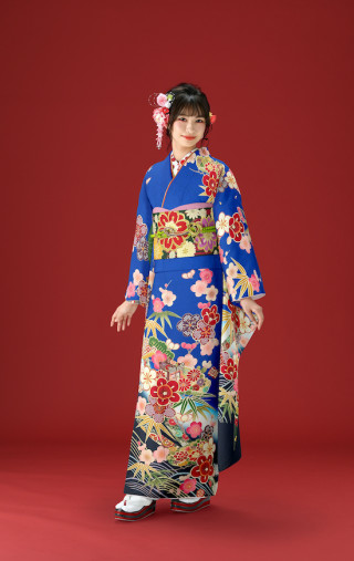 京友禅振袖_振袖_55053