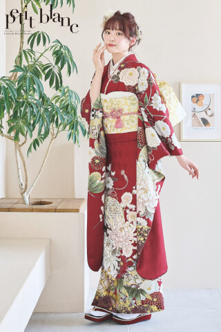 プチブラン　振袖のみ 振袖レンタル おりえん｜大阪堺市の振袖 /赤色/白色/古典/菊柄