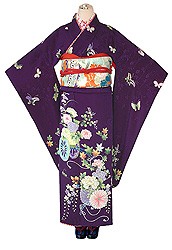 蝶々に花車紋錦紗振袖_振袖_1758