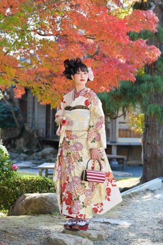 No.856　滝泰紅白菊尽し_振袖_18120