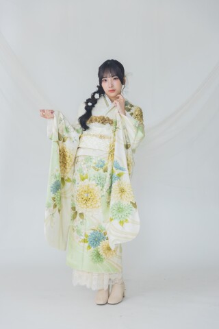 イエローとグリーンに咲く大輪の菊｜やさしく華やぐフェミニン振袖_振袖_51684