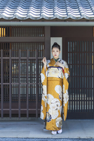 山吹色に咲く大輪菊のクラシカルレトロ｜都会的な上品さを纏う_振袖_93259