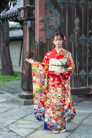 赤×濃紺に映える扇・松・菊・桜｜格式の中に自分らしさを纏う王道古典振袖_振袖_93356