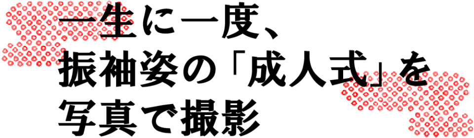 アセット 1キャッチ