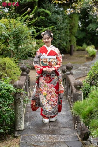 田中屋呉服店　振袖_振袖_47299