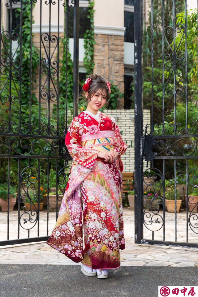 田中屋呉服店 久留米本店の振袖 /赤色/ピンク色/古典/桜柄/ 田中屋呉服