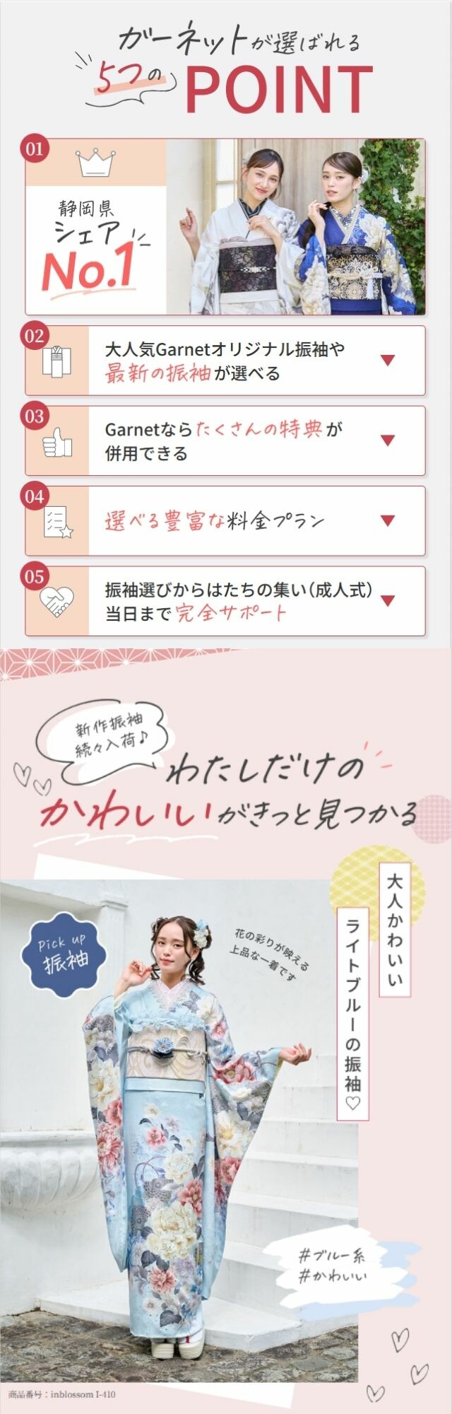 G紹介 (1)