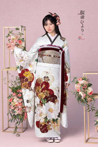 振袖（桜田ひよりＸ葵衣）_振袖_50938 | 京美　長浜店