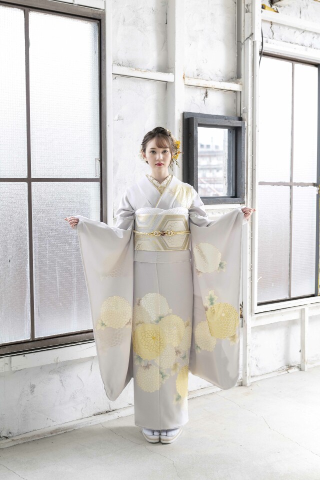 きもの専門店 和装こでらの振袖 /グレー色/ゴールド色/古典/菊柄/ TR