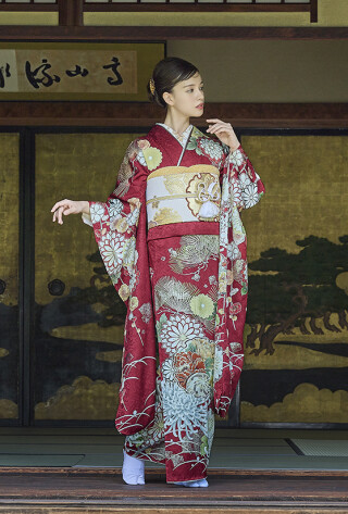 振袖・袴の西陣 （福井）の振袖 /緑色/ピンク色/古典/桜柄/ E-920 | My振袖