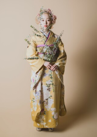 【myf－71】黄色　桜_振袖_30921
