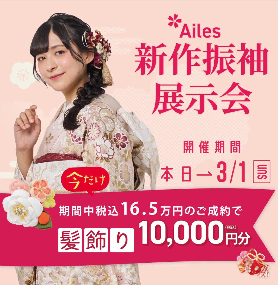 【エイル】髪飾り