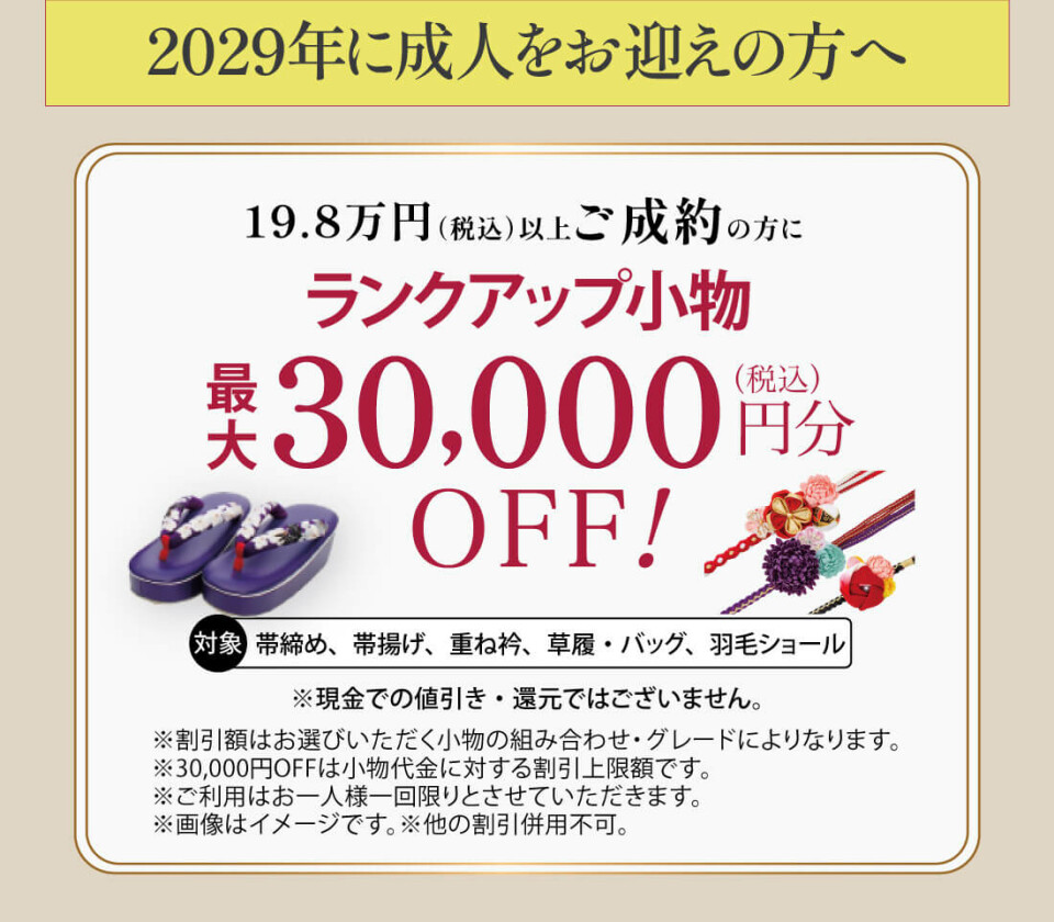 ailes_coupon_w1100_2_2029