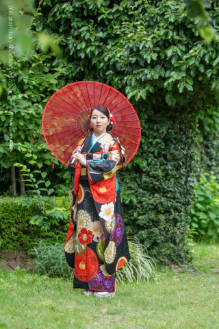 レンタル振袖（姉妹店振袖館ココル）_振袖_59458