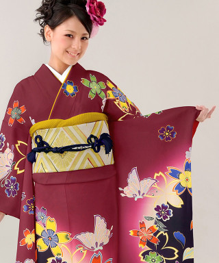 最終お値下げ!美しい蝶柄の振袖 振袖レンタル&販売 はい乃の振袖 /紫色/紺色/古典/蝶柄/ 【お