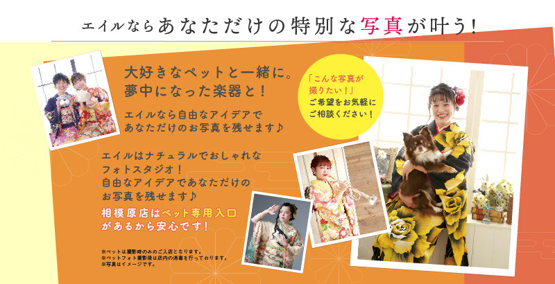 ペット撮影