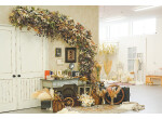 photo studio foretの店舗サムネイル画像