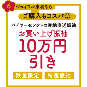 kansai_present_6