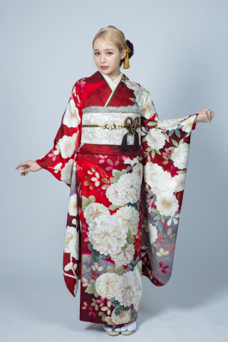 振袖レンタル＆販売 はい乃の振袖 /ピンク色/赤色/古典/蝶柄/ ピンク地