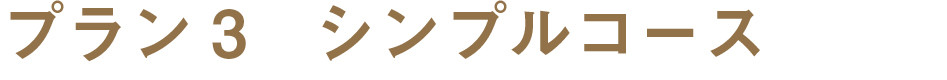 シンプルコース