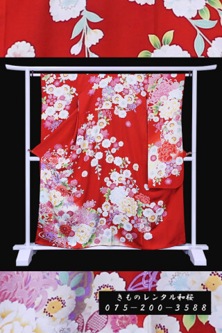【F-33】　赤/牡丹・菊・折り鶴_振袖_59336