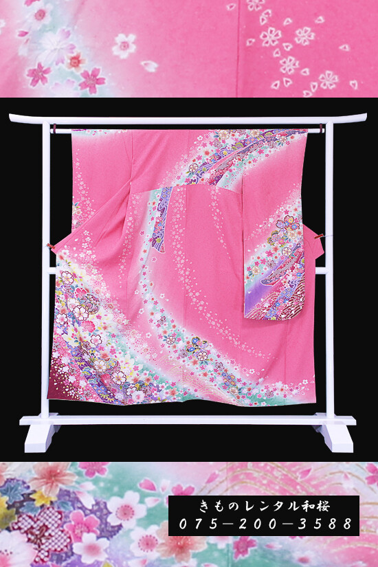 きものレンタル和桜の振袖 /ピンク色/紫色/キュート/桜柄/ 【F-36