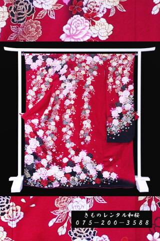 【F-37】　赤・黒/薔薇_振袖_59527