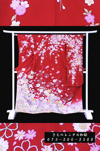 【F-38】　赤/桜・コスモス_振袖_59528