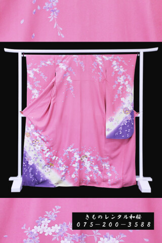 【F-40】　ピンク/しだれ桜・毬_振袖_59530