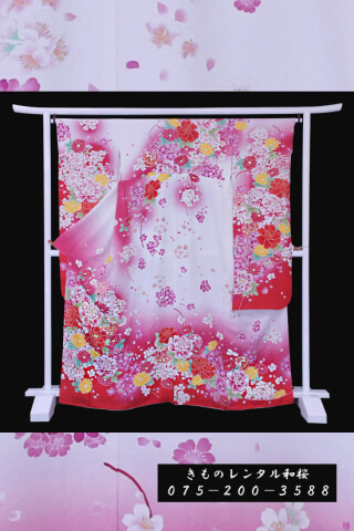 【F-41】　白・ピンク/牡丹・桜・毬_振袖_59531