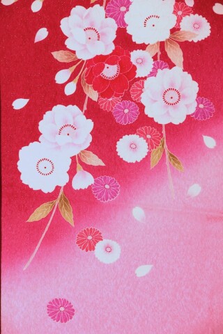 sakurasakura_振袖_57334