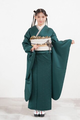 鎌倉着物スタジオの振袖 /青色/その他色/古典/熨斗柄/ 0703554 青地