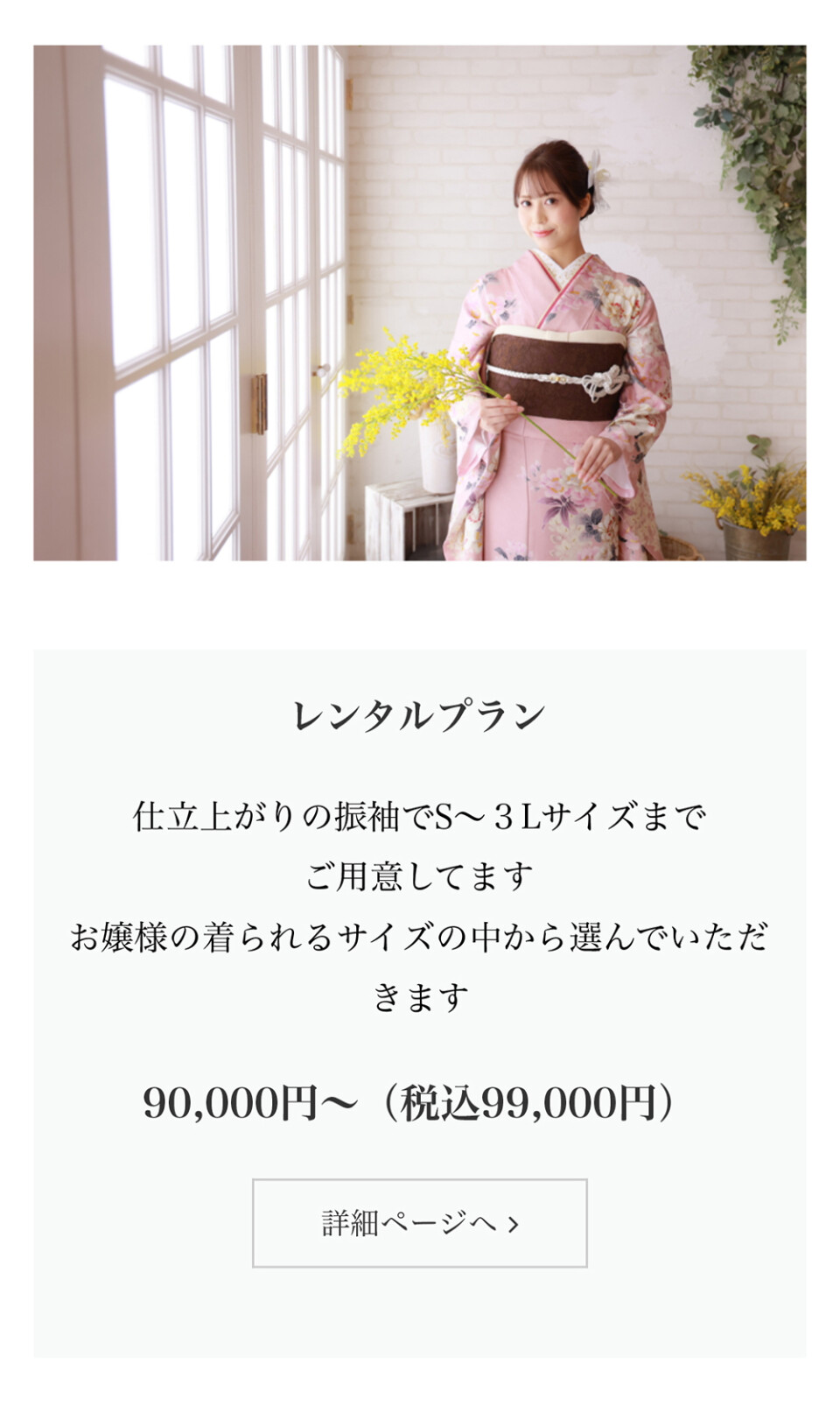 レンタルプラン