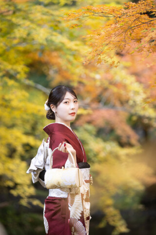 振袖　010_振袖_99503 | フォトスタジオ ランファン