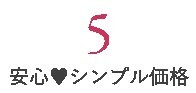 5annsinn