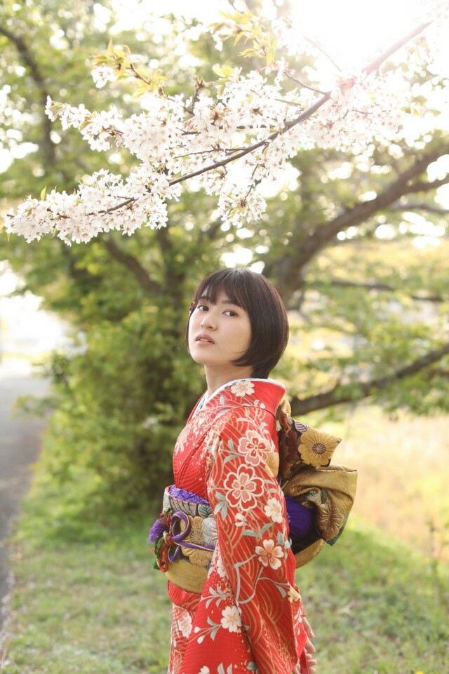 ゆずの木の振袖 /赤色/黒色/古典/桜柄/ 振袖レンタル | My振袖 ゆずの木の振袖 /赤色/黒色/古典/桜柄/ 振袖レンタル | My振袖