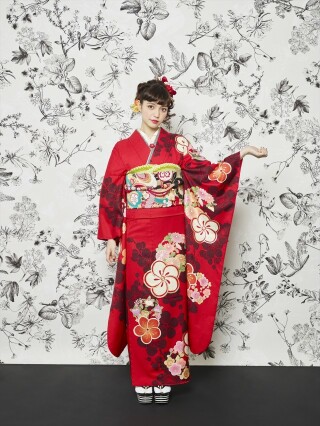 振袖スタジオ スーパーときめき 富山店の振袖 /黒色/赤色/古典