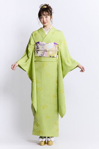 色無地の成人式振袖一覧 | My振袖