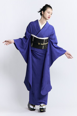 色無地の成人式振袖一覧 | My振袖