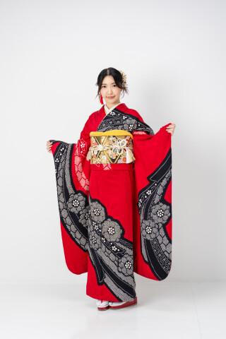 絞りの成人式振袖一覧 | My振袖