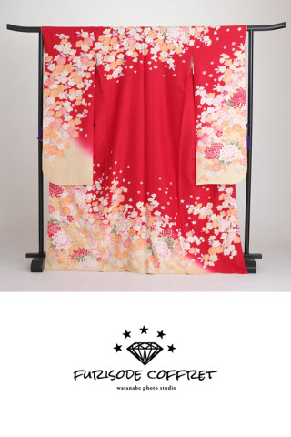 furisode coffret_振袖_82580