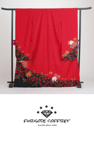 furisode coffret_振袖_82584