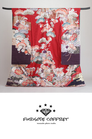furisode coffret_振袖_82592